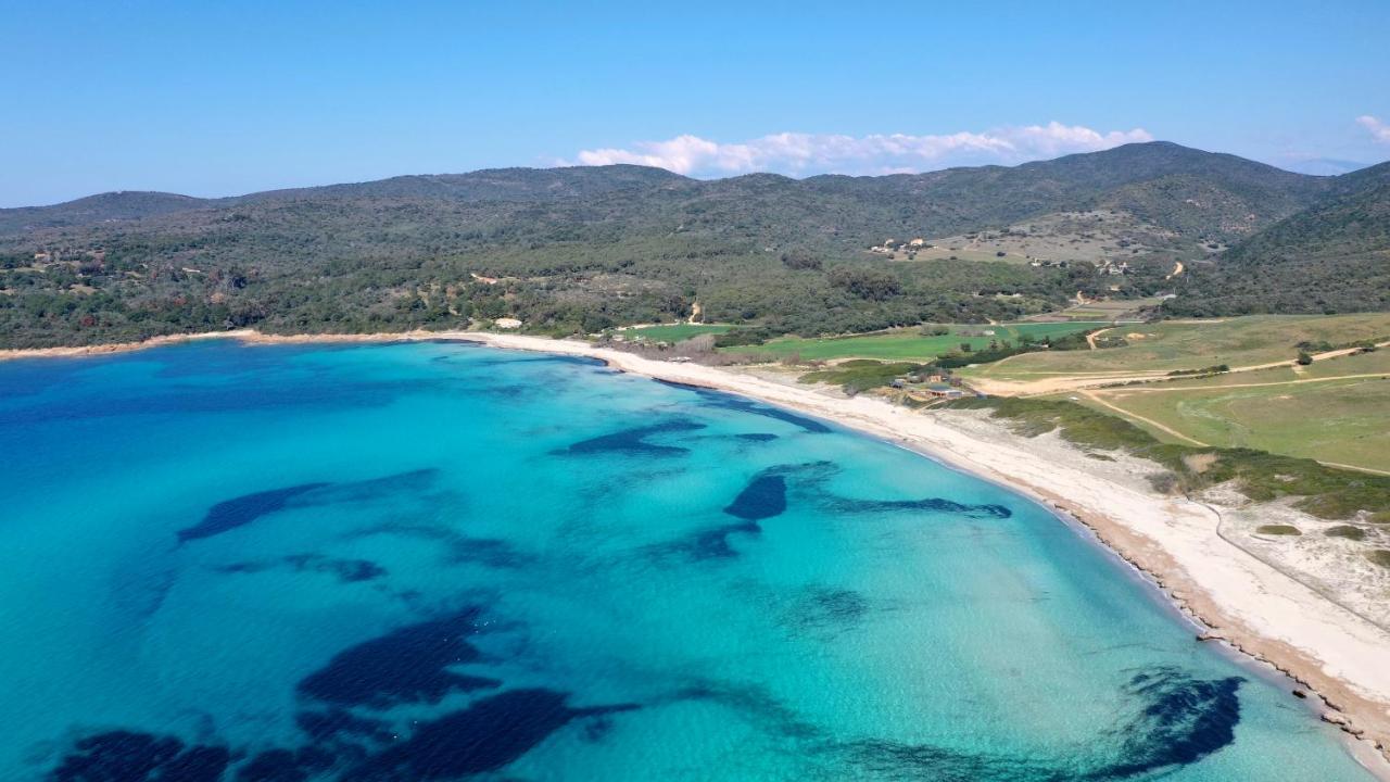 Superbe Appartement En Plein Coeur D'Ajaccio Ajaccio  Zewnętrze zdjęcie